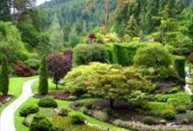 Butchart Gardens Express Tour
